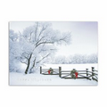 Frosty Winter Scene Greeting Card - Silver Lined White Envelope